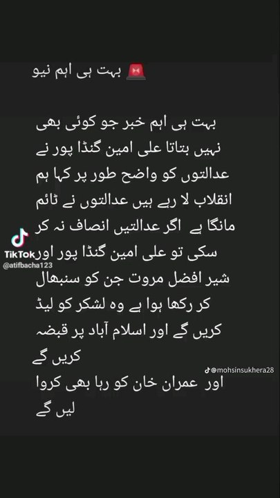 Imran khan PTI supporter