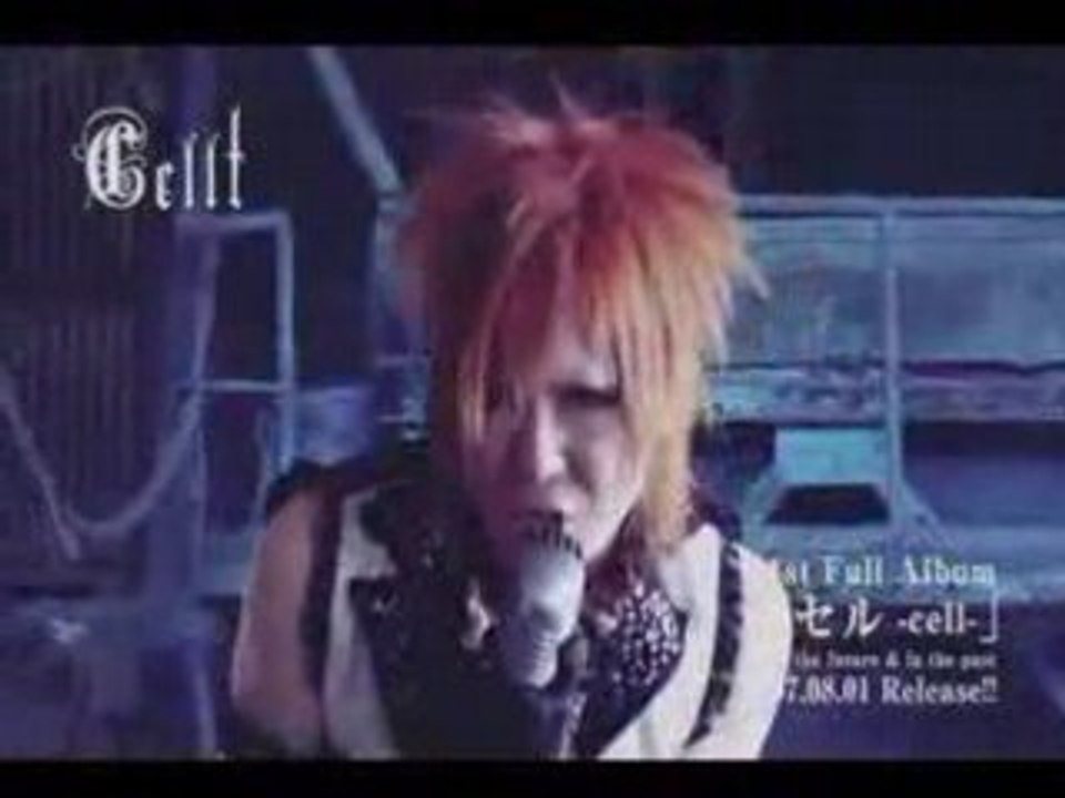 CELLT_-_Night_doll-_