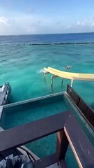 Salvamento Arribas 🚑