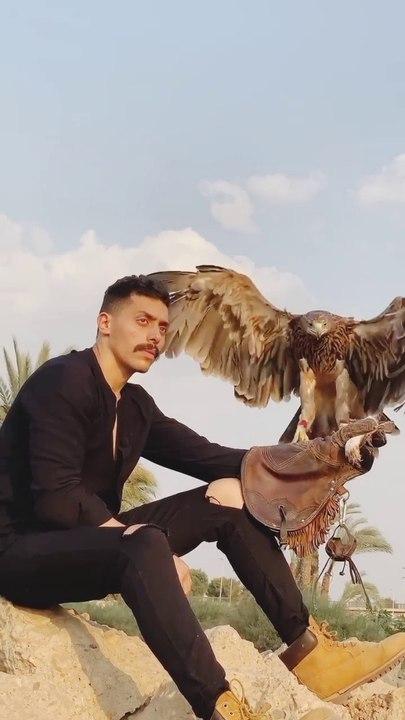 Shaheen sat on his master's hand
