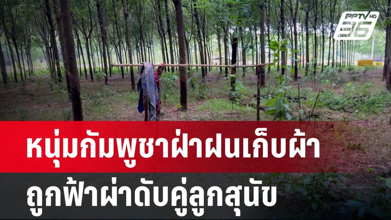หนุ่มกัมพูชาฝ่าฝนเก็บผ้า ถูกฟ้าผ่าดับคู่ลูกสุนัข | โชว์ข่าวเช้านี้ | 17 มิ.ย. 67