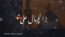 Bara lajpal Ali Qasida Ali waly qasida alishyyvlogs karbala aliwaly trendingviral islamic