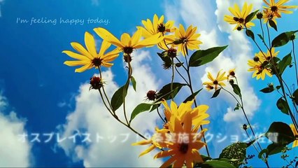 オスプレイ基地建設阻止行動・6月15日