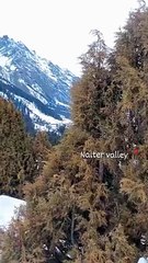 Nature of gilgit pakistan