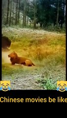 #AwkwardMoments#UnintentionalComedy#EpicFail#OopsIDidItAgain#CantMakeThisUp#LaughingAtMyself#WhenYouKnowYouKnow#LifeIsWeird#RandomLOL#WhoopsieDaisy#NailedIt#AccidentalGenius#DailyDisaster#NoFilterNeeded#OopsMyBad