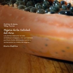 -ANDRÉS DE JESÚS VÉLEZ FRANCO- DISEÑO BIOFÍLICO (PARTE 1) (@AndresdeJesus90)