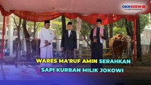 Wapres Ma'ruf Amin Serahkan Sapi Kurban Milik Jokowi ke Masjid Istiqlal
