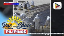 Paglilinis sa oil spill sa kilalang resort sa Singapore, sinimulan na