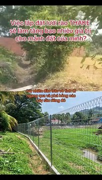 LƯỚI THÉP HÀNG RÀO VƯỜN - LƯỚI RÀO VƯỜN - Call/Zalo: 0785 568 858