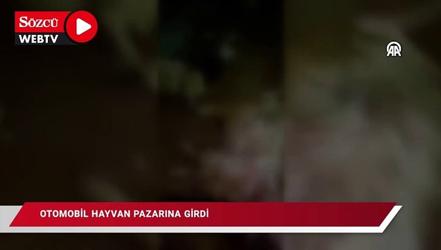 Otomobilin hayvan pazarına girmesi sonucu 8 kişi yaralandı