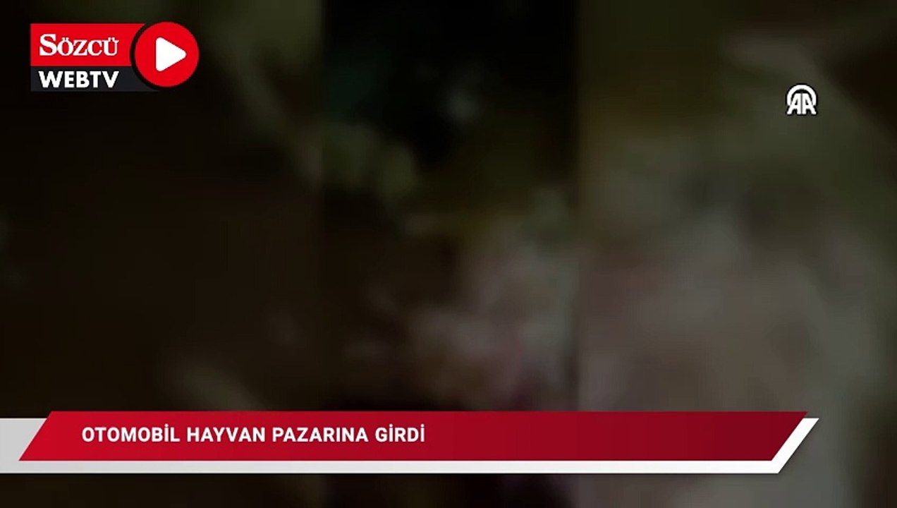 Otomobilin hayvan pazarına girmesi sonucu 8 kişi yaralandı