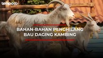 Berikut Lima Trik Menghilangkan Bau Kambing di Tangan