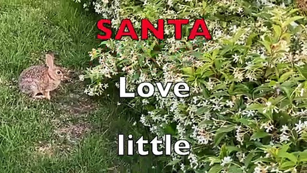 Hippity Hoppity SINGING To SANTA: