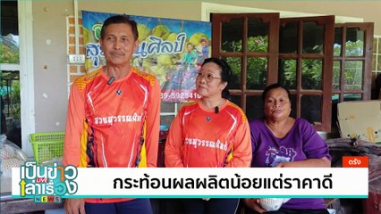 เลี้ยงกิ้งก่าทะเลทรายขาย รายได้งาม  | เป็นข่าวเล่าเรื่อง | 17 มิ.ย. 67 | PART 2