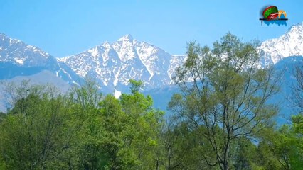 Himalayan Nature View
