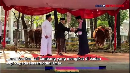 Momen Wapres Ma'ruf Amin Serahkan Sapi Kurban Milik Jokowi ke Masjid Istiqlal