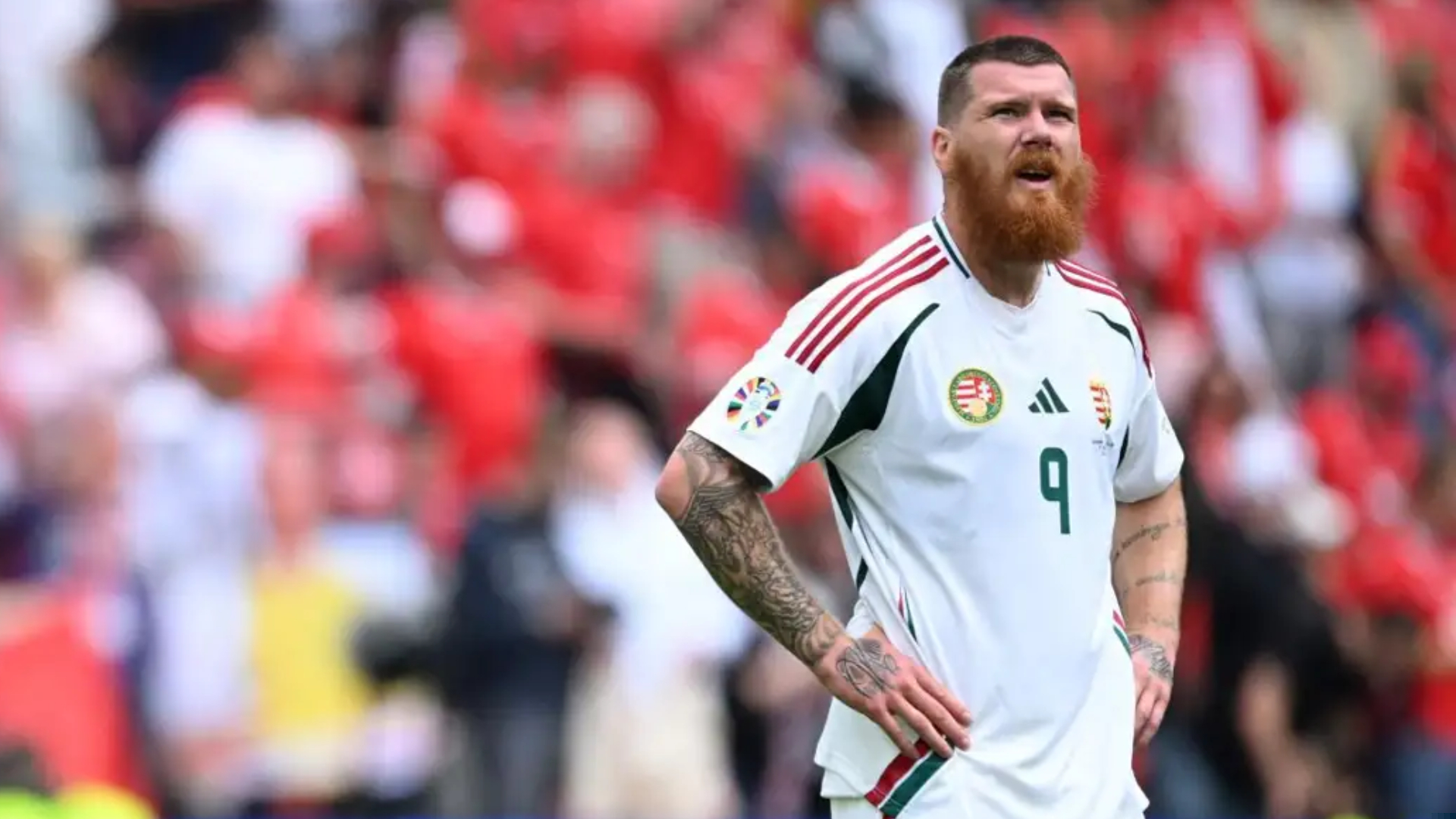 Germany v Hungary - Big Match Predictor