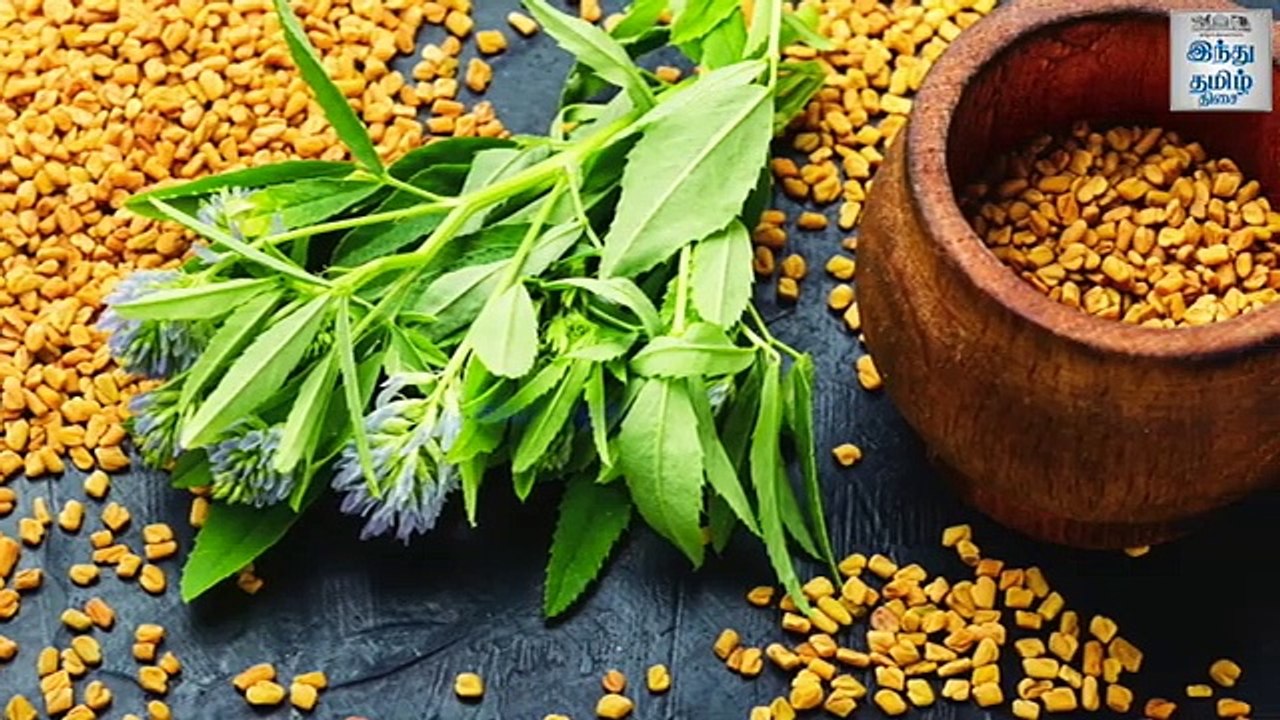 திடீர்னு சாப்பாட்டை குறைச்சா இந்த பிரச்சனைகள் வரும் | R Ramya Murali | PART 08 | Hindutamilthisai