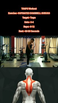 ❌ SUPINATED DUMBBELL SHRUGS ✔️ How can I get Build my TRAPS Bigger? #heermlgangaputra #naturalbodybuilding #workout #exercise #fitness #gym #muscle #training