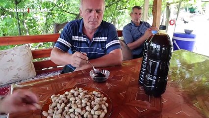 Adana'nın kavurucu sıcağında dutun şifalı yolculuğu başladı