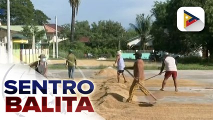 DA, nakipagpulong sa grupo ng mga magsasaka hinggil sa nakaambang bawas-taripa sa imported rice