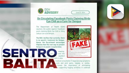 DOH at Rep. Garin, nagpaalalang hindi nakagagamot ng Dengue ang Siling Labuyo