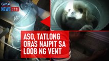 Aso, tatlong oras naipit sa loob ng vent | GMA Integrated Newsfeed