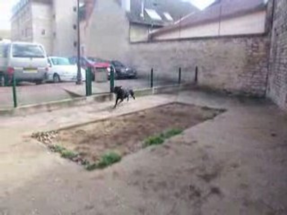 kaiser et la baballe bleue