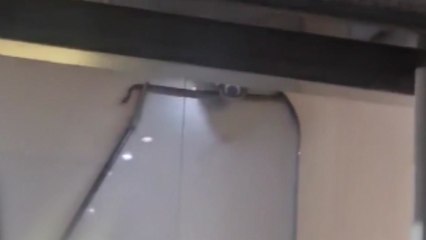 아파트 승강기에 나타난 '뱀'...소방 출동해 포획 / YTN