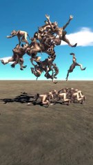 Dungeons  Wolf vs Giraffe Top Best Fighting 3D Animation Animal