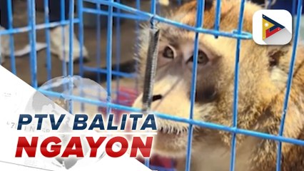 LTO, nagbabala sa mga car at motorcycle dealer na bigong makapag-isyu ng O.R., C.R, at plaka