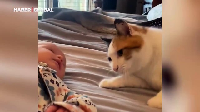 Evin yeni üyesi bebeğe karşı hassas davranan kedinin görüntüleri izlenme rekoru kırdı