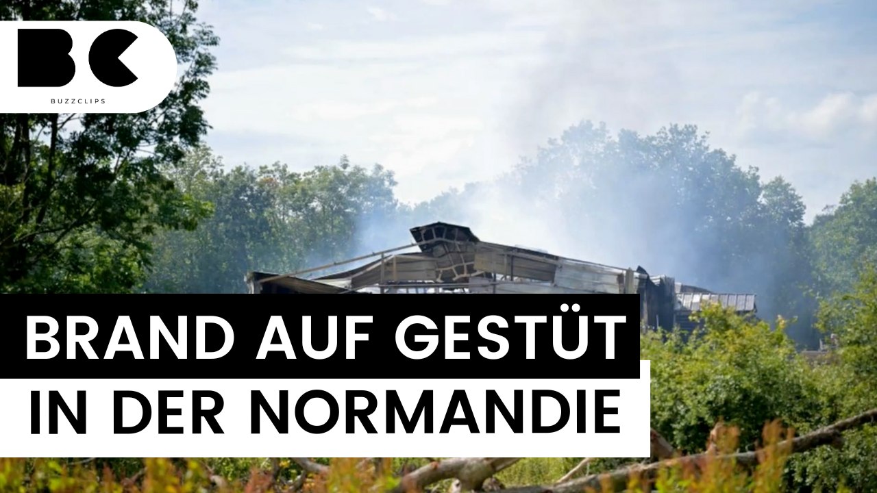 Brand mit verheerenden Folgen: 70 Pferde ums Leben gekommen