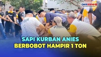 Anies Baswedan Sembelih Sapi Kurban Miliknya di Masjid Babul Khoirot Lebak Bulus