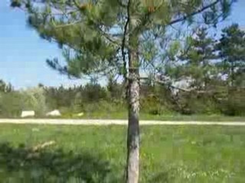 kaiser kiffe la nature :)