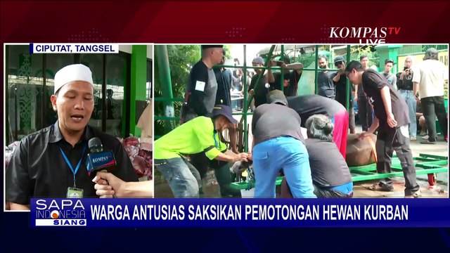 Sapi Simental 1 Ton Sumbangan Presiden Jokowi Disembelih di Masjid Agung Surakarta