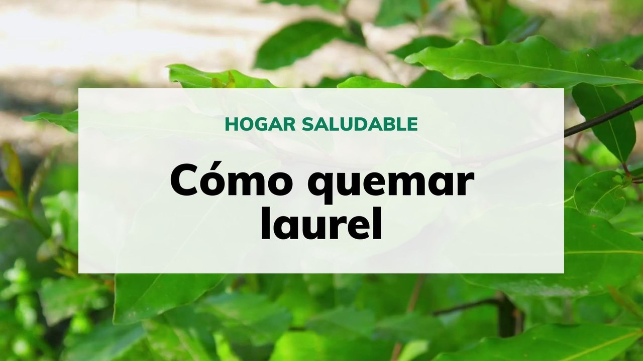 Cómo quemar laurel