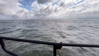 ‘Incredible sight’ - pod of dolphins surround RNLI lifeboat and play in Liverpool Bay
