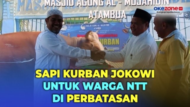 Jokowi Serahkan Sapi Simmental Berbobot Hampir 1 Ton untuk Warga di Perbatasan NTT-Timor Leste