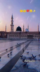 Choom_Kr_Khake_Madina_#viral_#shorts_#hajj_#madina_#makkahmadinah(360p)