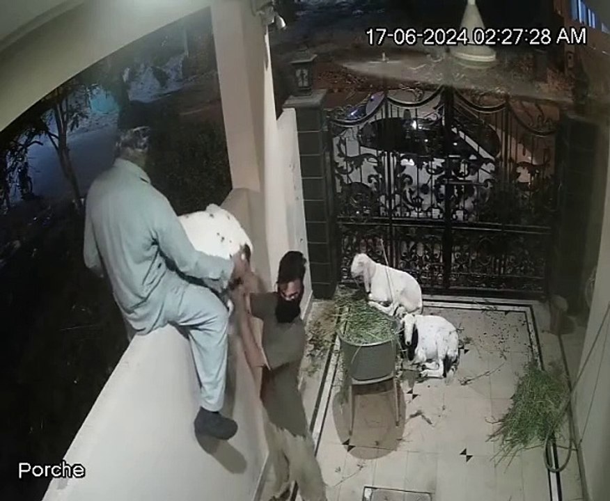 what bakra chor
