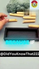 Can U Fit The Stick #shorts #puzzle