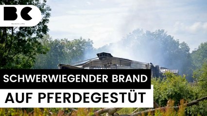 Pferdegestüt brennt nieder: 70 Tiere gestorben