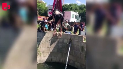 Su kuyusuna düşen inek kurtarıldı