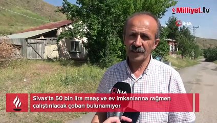 Ücretsiz ev imkanı sundular: 50 bin lira maaşa çalıştıracak işçi bulamıyorlar