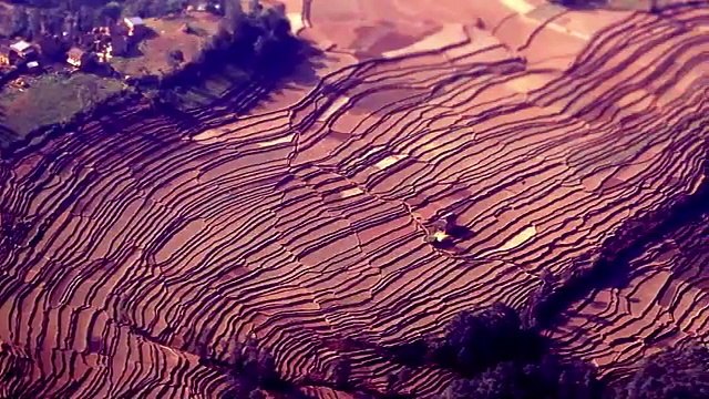 The Agricultural Revolution_ Crash Course World History _1(360P)