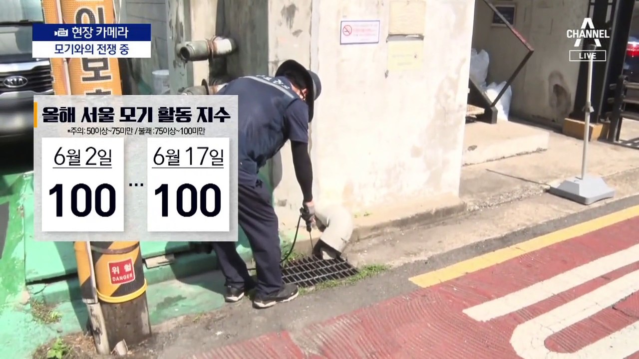 [현장 카메라]활동지수 최고치…빨라진 모기와 전쟁