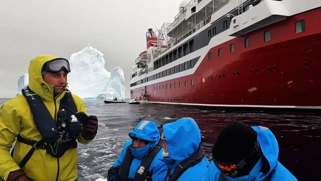 Antarctique : les icebergs