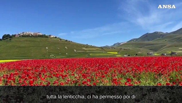Castelluccio di Norcia, lo spettacolo dei colori della fioritura