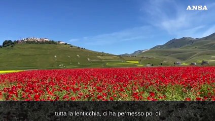 Castelluccio di Norcia, lo spettacolo dei colori della fioritura
